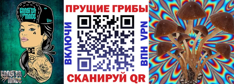 Псилоцибиновые грибы ЛСД  Снежногорск 